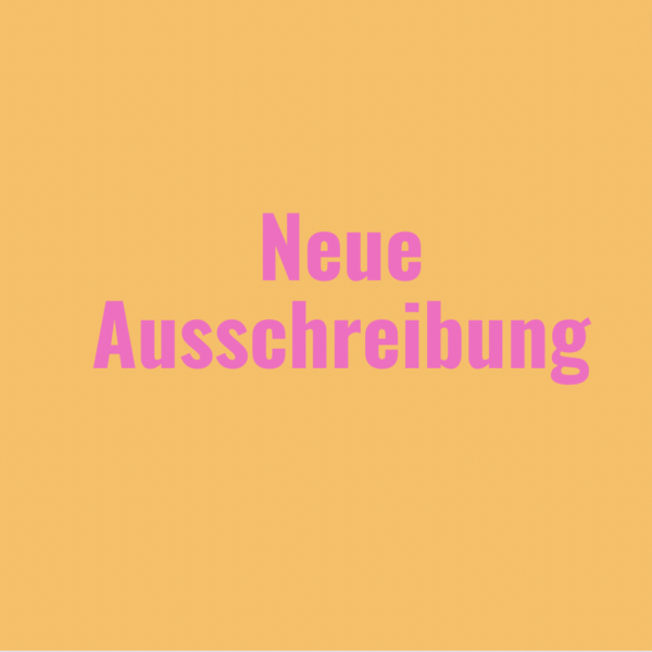 Arbeitsstipendium | MECKLENBURGISCHES KÜNSTLERHAUS Schloss Plüschow 2025